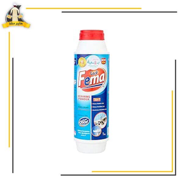 فما منظف استانلس فيبا