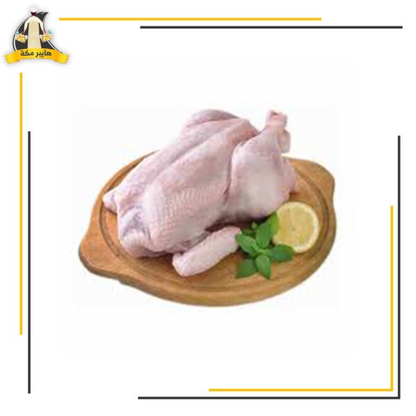 دجاج ابيض 1100/1200السبيل