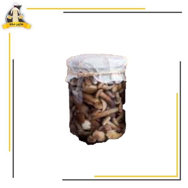 مشروم هيلثي 800م